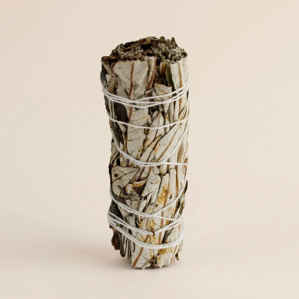 Coffret de Sauge Yerba Santa