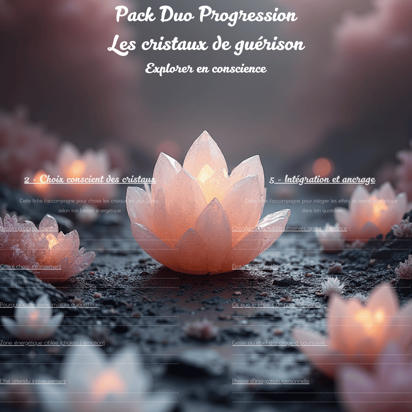 PACK Duo Progression - Les cristaux de guérison
