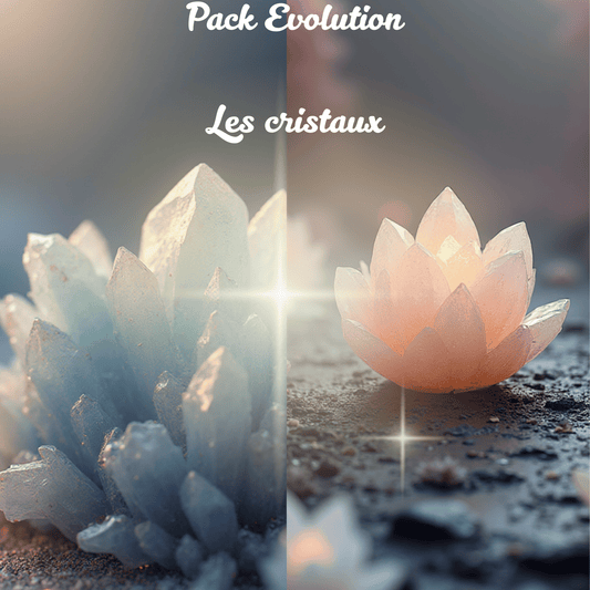 PACK Évolution - Les Cristaux