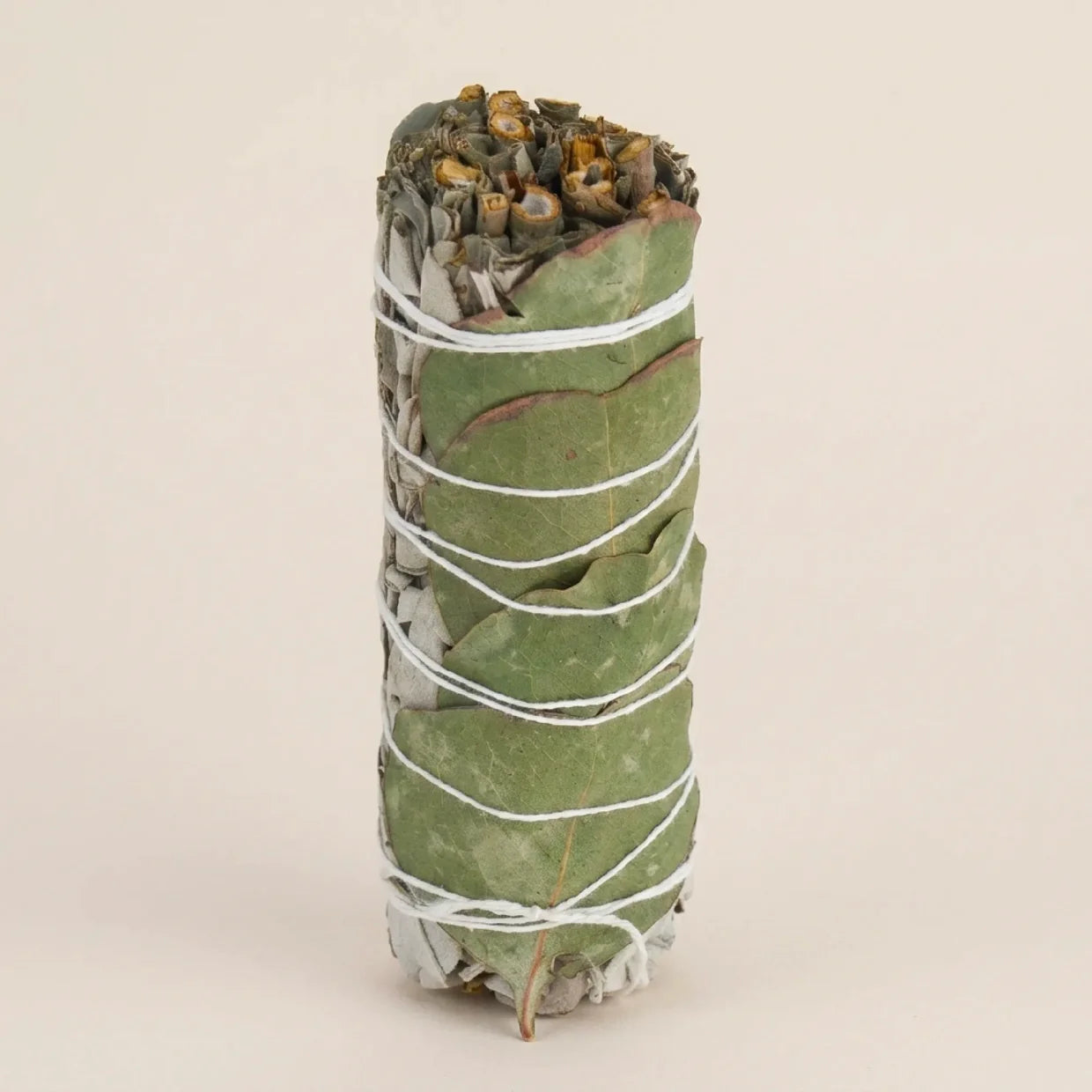 Gros plan vertical sur un fagot de sauge blanche et feuilles d'eucalyptus séchées ficelé avec un fil blanc - Myvelyshop