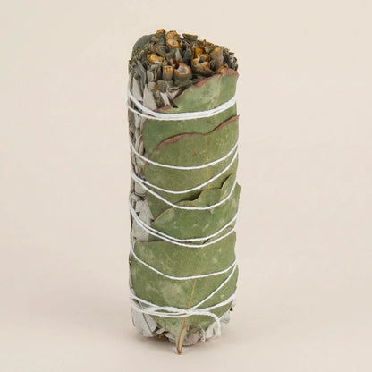 Gros plan vertical sur un fagot de sauge blanche et feuilles d'eucalyptus séchées ficelé avec un fil blanc - Myvelyshop