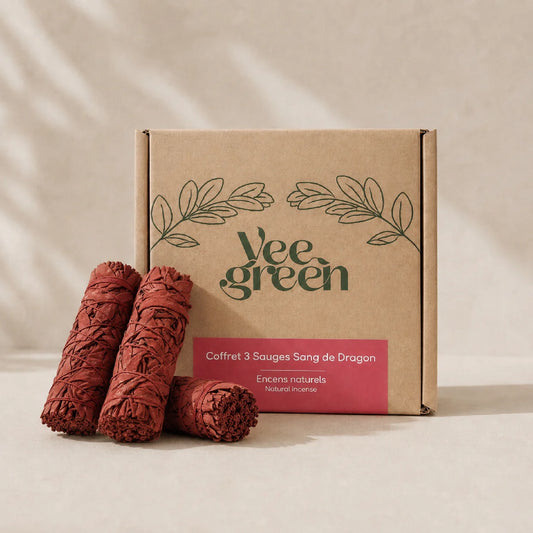 Coffret kraft contenant 3 bâtons de sauge blanche enrobés de résine rouge Sang de Dragon - Myvelyshop
