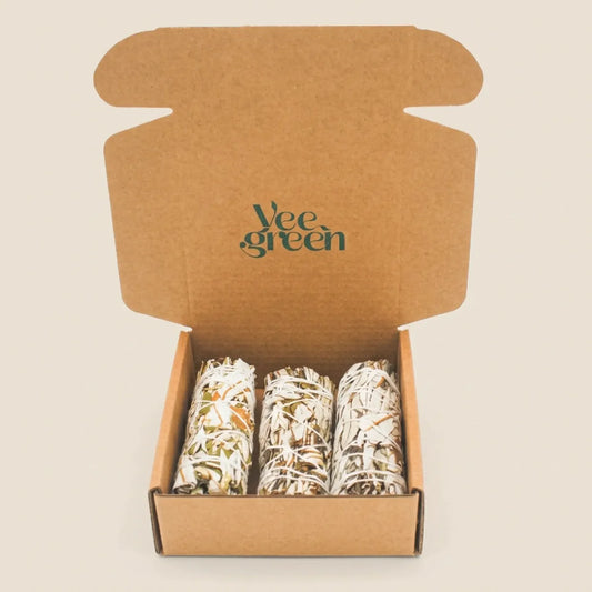 Vue détaillée du coffret ouvert avec 3 bâtons de Yerba Santa séchés et ficelés à la main sur fond neutre - Myvelyshop