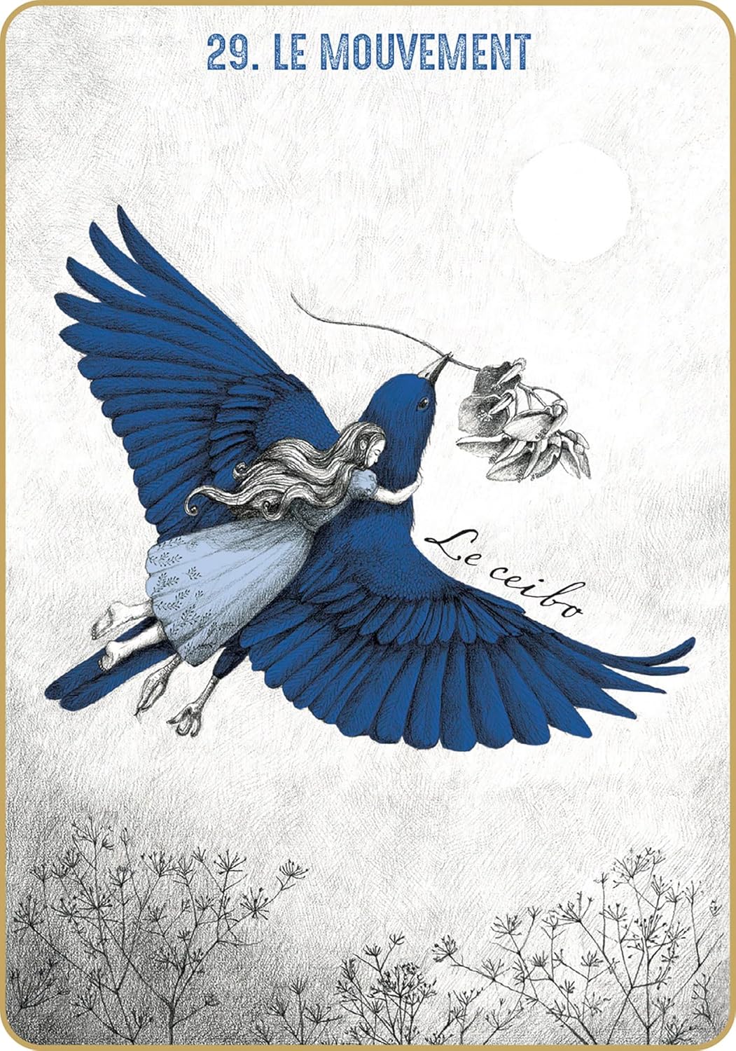 Les 44 cartes illustrées et le livret de l'oracle Akasha - le mouvement