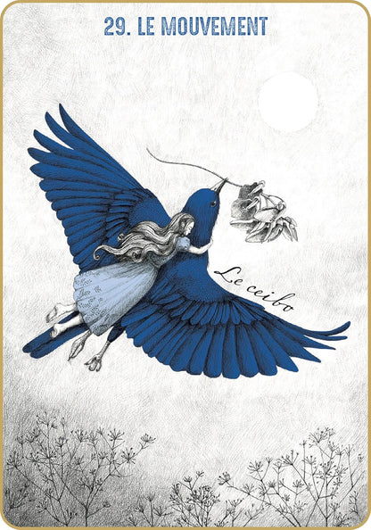 Les 44 cartes illustrées et le livret de l'oracle Akasha - le mouvement