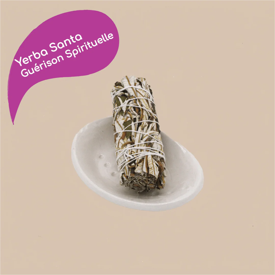 Bâton de sauge blanche yerba Santa de Californie pour rituel de fumigation