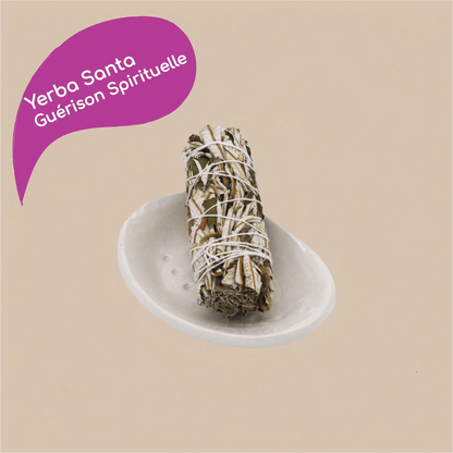 Bâton de sauge blanche yerba Santa de Californie pour rituel de fumigation