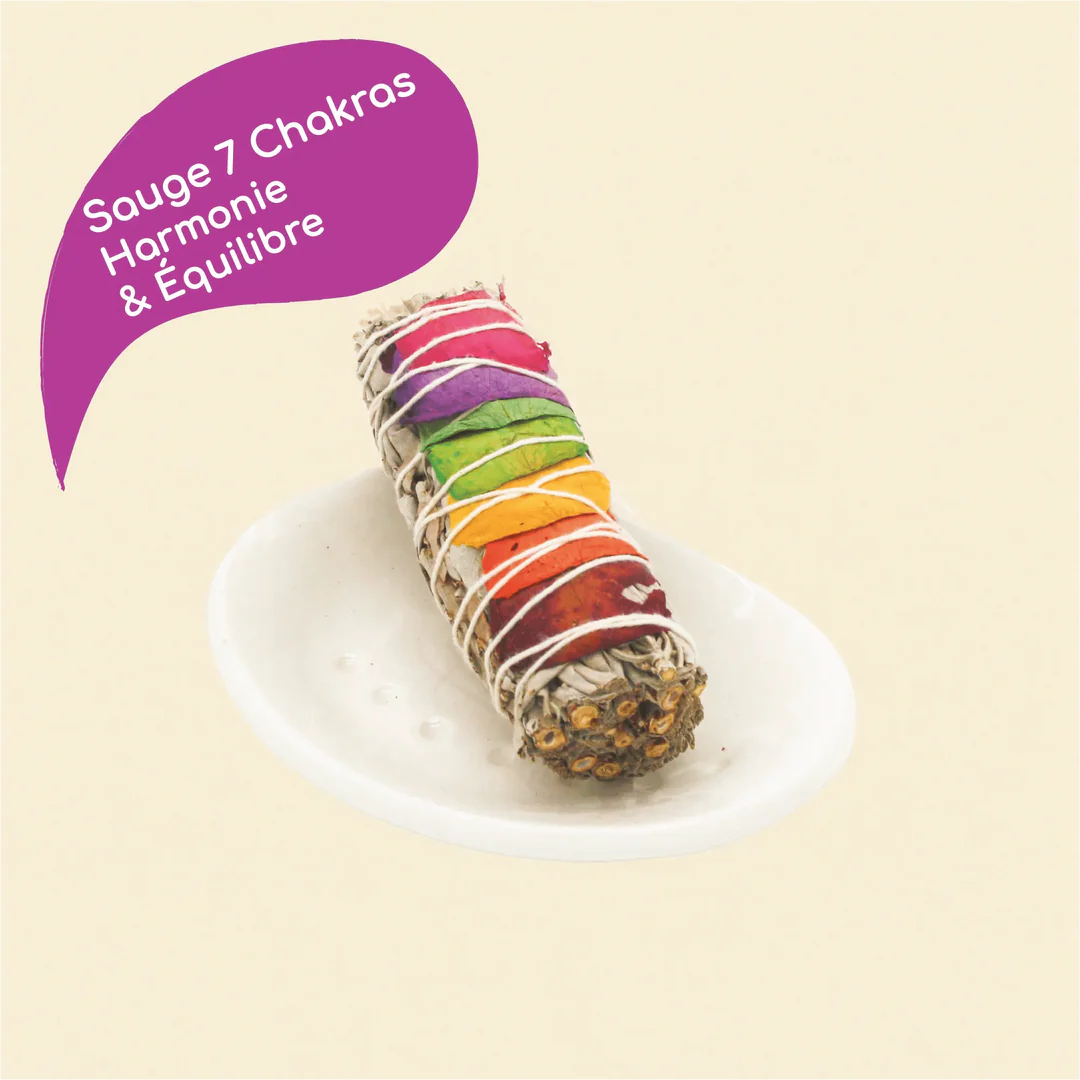 Bâton de sauge 7 chakra de Californie pour rituel de fumigation