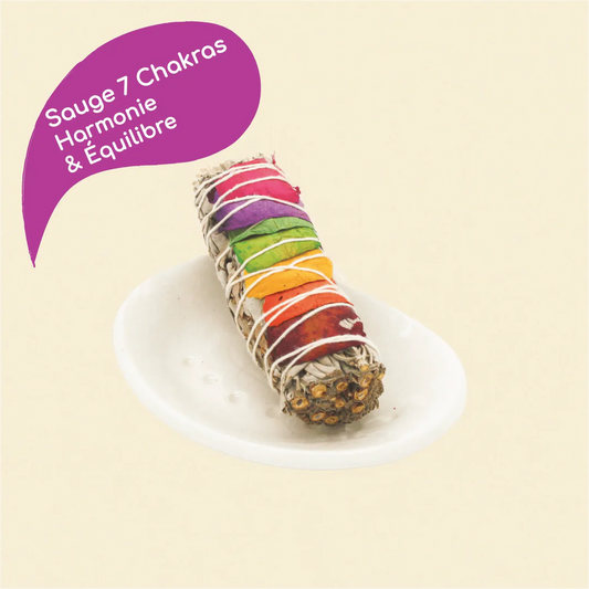 Bâton de sauge 7 chakra de Californie pour rituel de fumigation