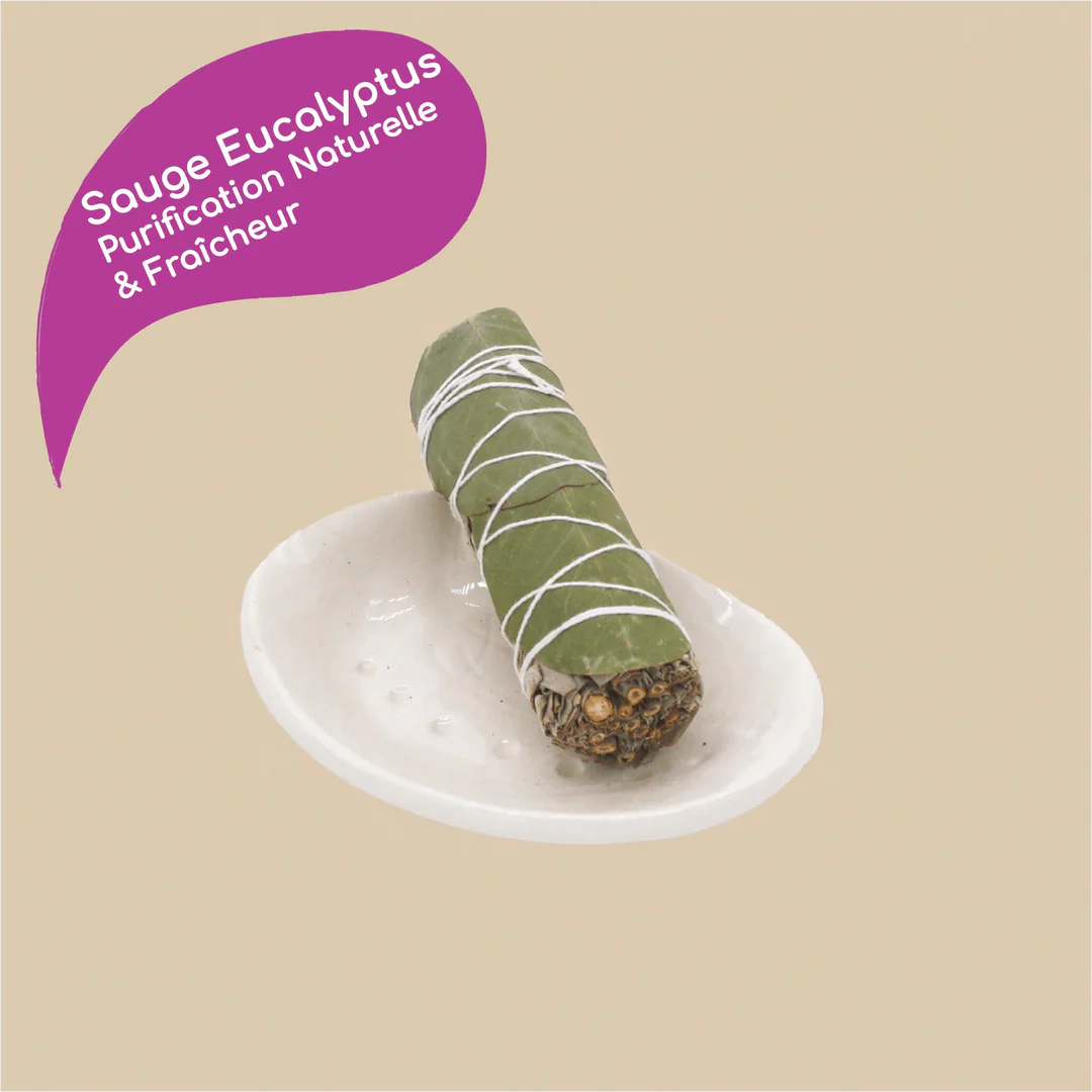 Bâton de sauge blanche eucalyptus de Californie pour rituel de fumigation