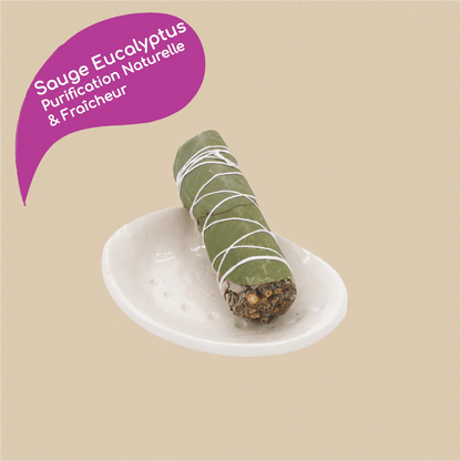 Bâton de sauge blanche eucalyptus de Californie pour rituel de fumigation