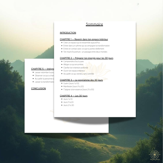 Sommaire de l'e-book Journal d'âme par Myvelyshop - 30 jours pour guérir et s'aligner à son essence.